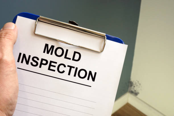 Best Forensic Mold Investigation  in Belleair Beach, FL